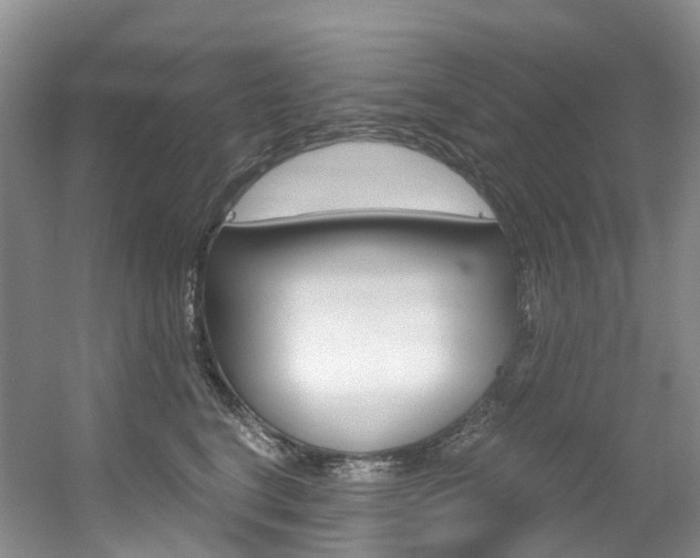 X0000056320664200508260852