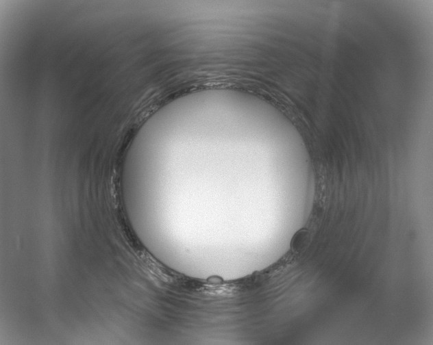 X0000056320667200508260852