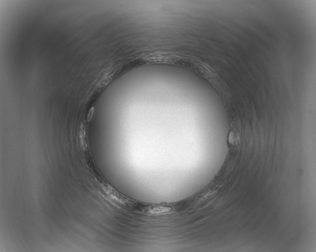 X0000056320669200508260852