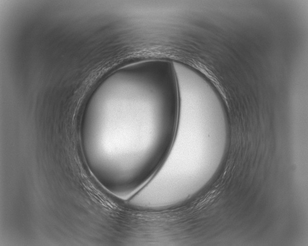 X0000056320673200508260852