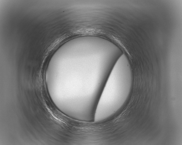 X0000056320674200508260852