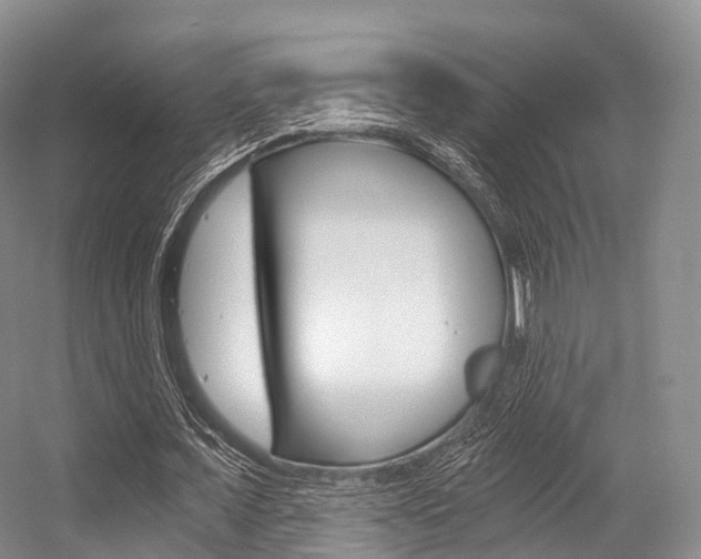 X0000056320675200508260852
