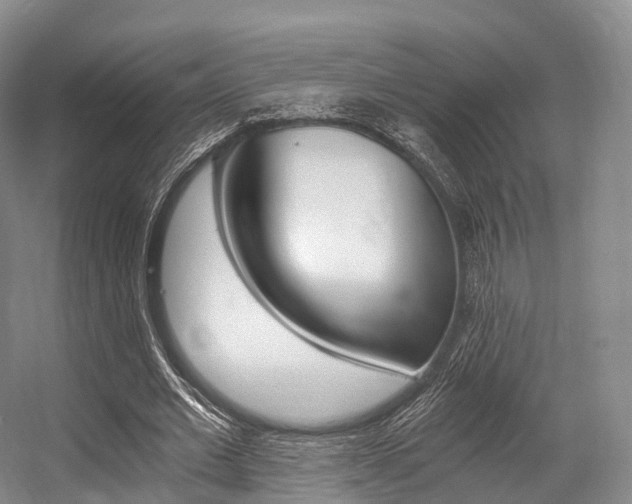 X0000056320677200508260851