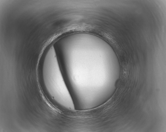 X0000056320678200508260851