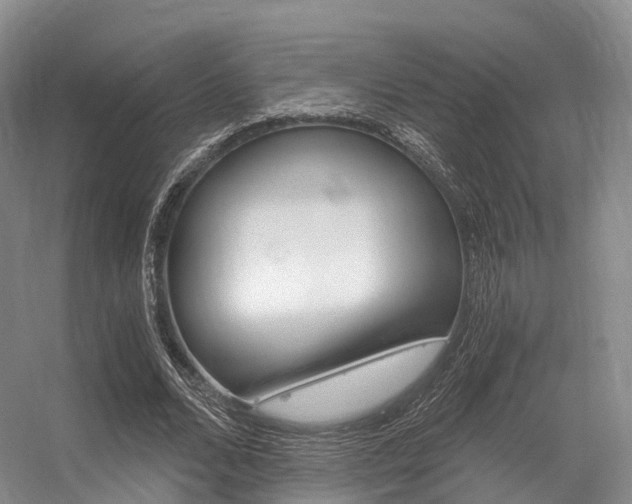 X0000056320680200508260851
