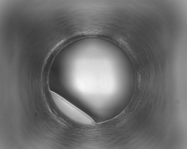 X0000056320684200508260851
