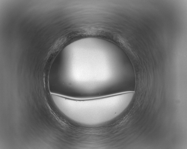 X0000056320685200508260851