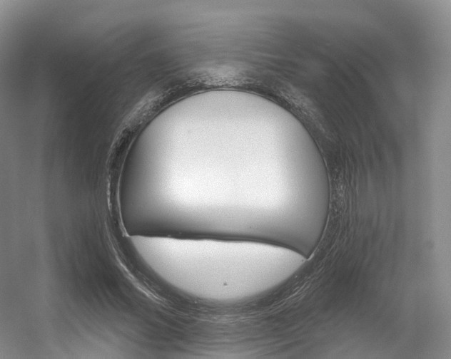 X0000056320686200508260851