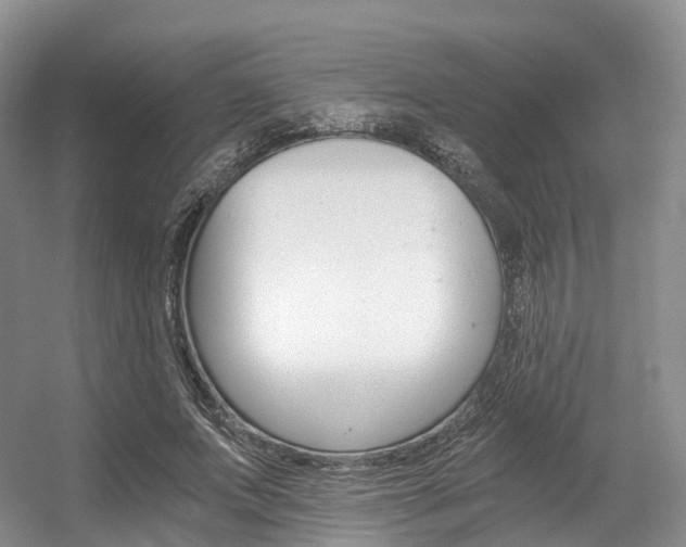 X0000056320687200508260851