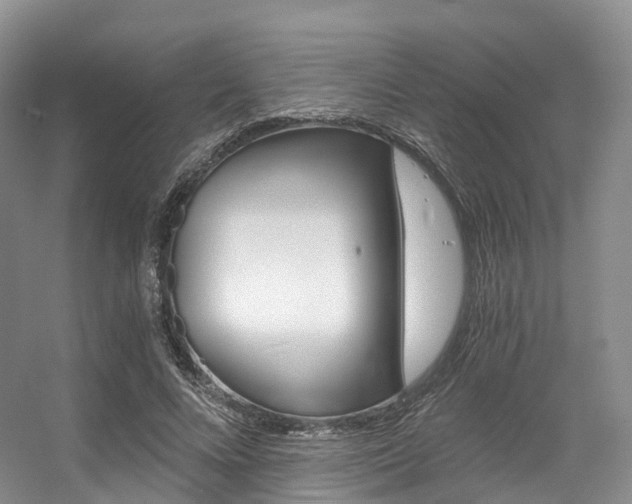 X0000056320688200508260851