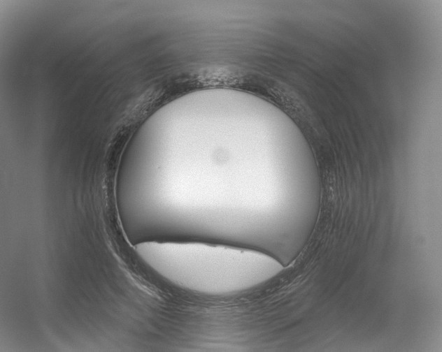 X0000056320690200508260851