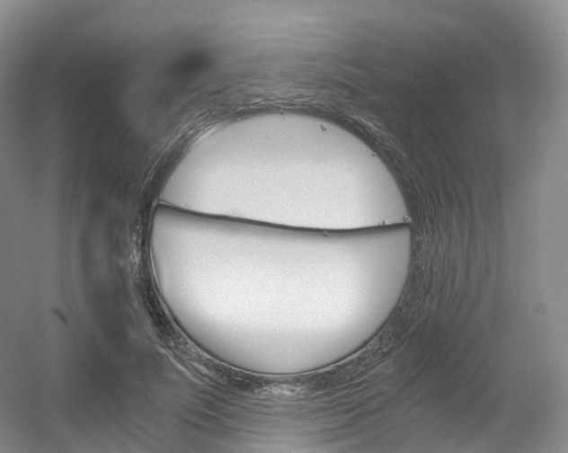 X0000056320691200508260851