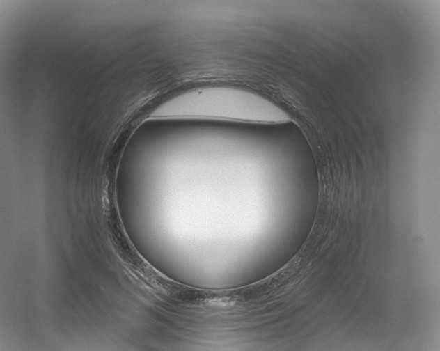 X0000056320692200508260851