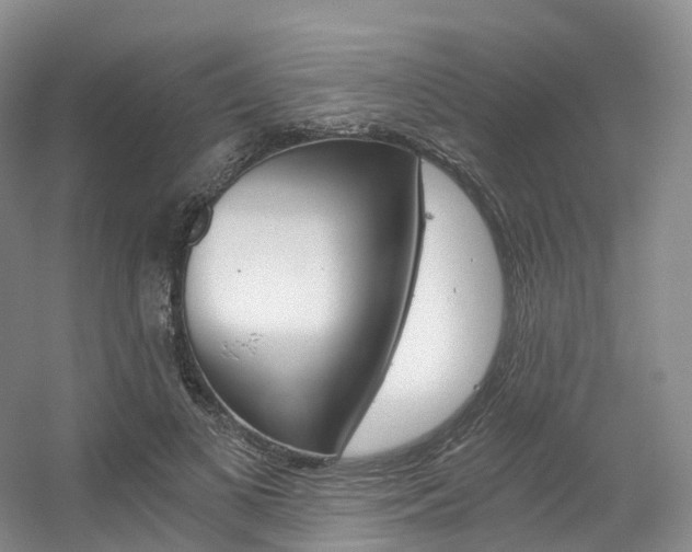 X0000056320693200508260851