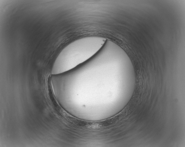 X0000056320695200508260851