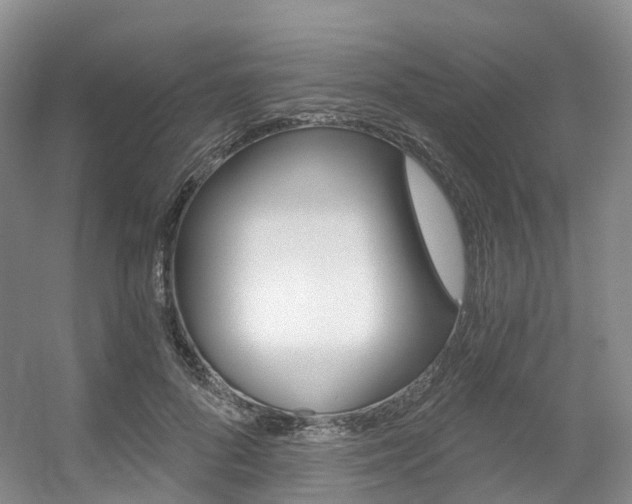 X0000056320696200508260851