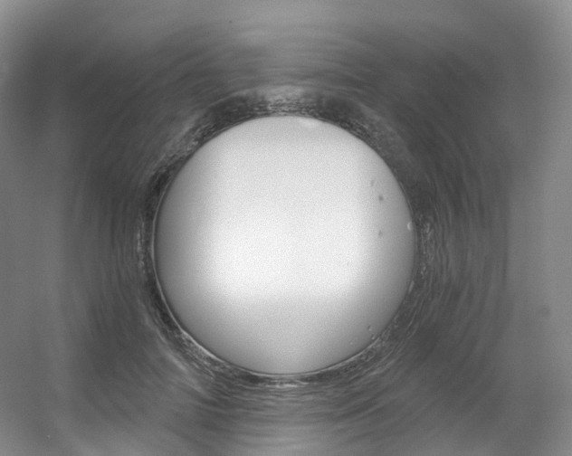X0000056320698200508260851