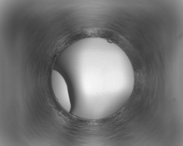 X0000056320702200508260851