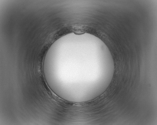 X0000056320706200508260851