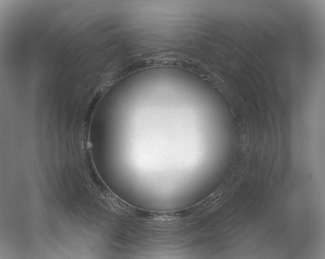 X0000056320708200508260851