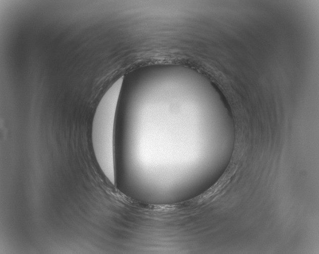 X0000056320720200508260851