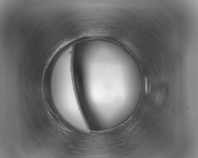 X0000056320723200508260850