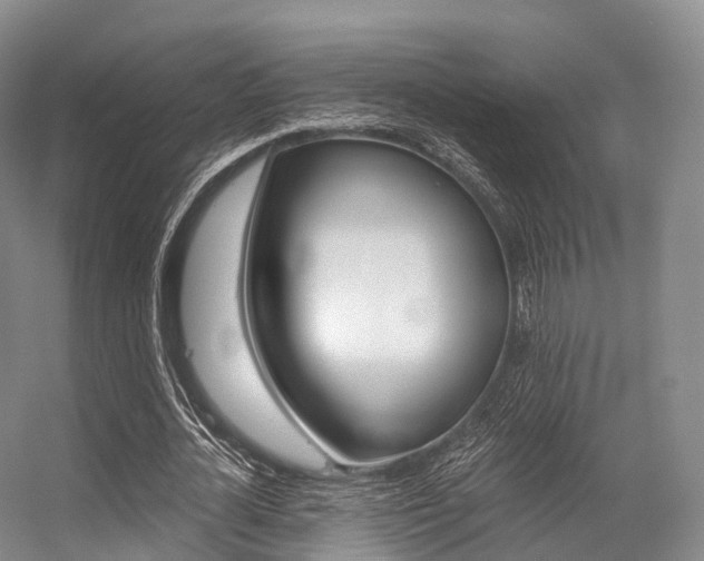 X0000056320724200508260850