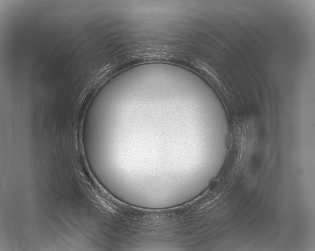 X0000056320729200508260850