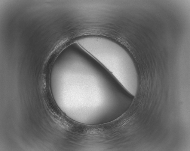 X0000056320731200508260850