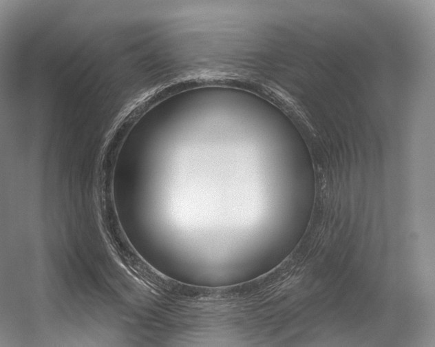X0000056320732200508260850
