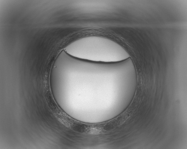 X0000056320737200508260850