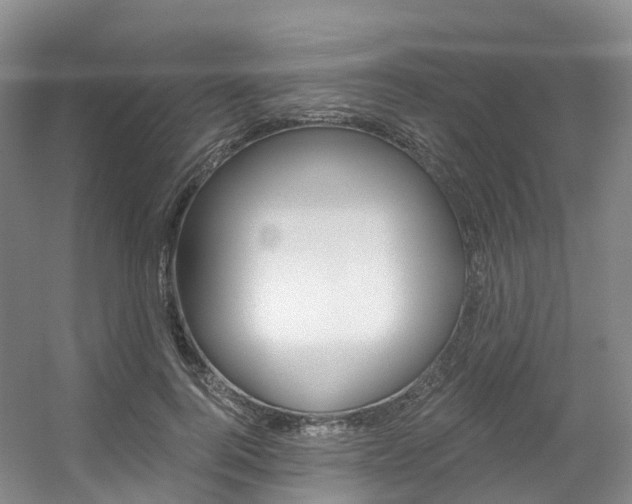 X0000056320744200508260850