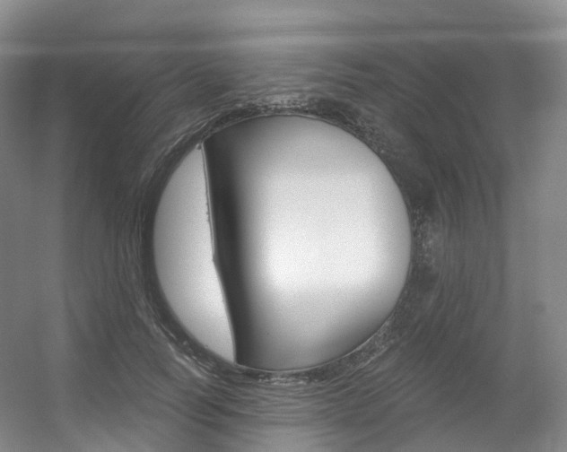 X0000056320746200508260850