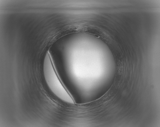 X0000056320748200508260850
