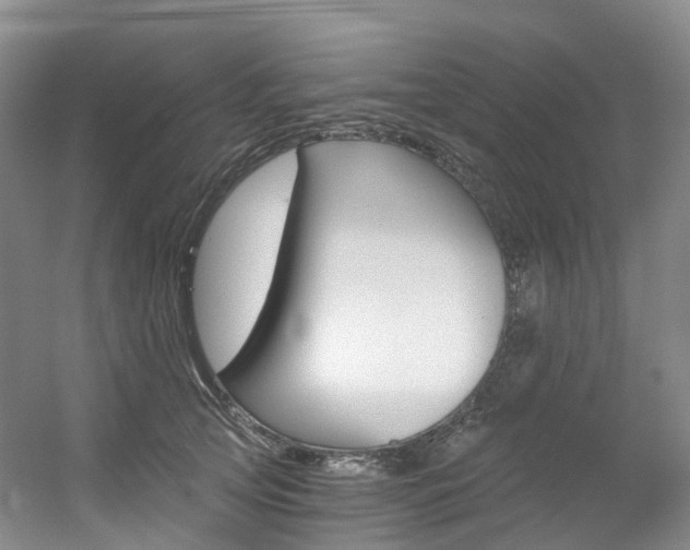 X0000056320753200508260850