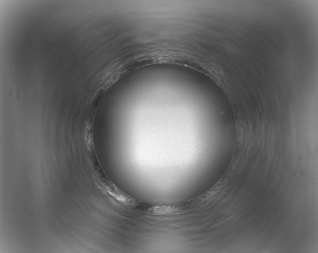 X0000056320766200508260851