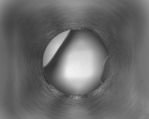 X0000056320768200508260851