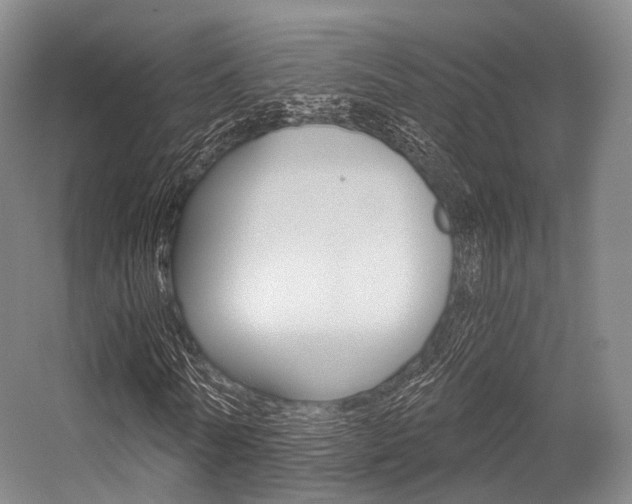 X0000056320770200508260850