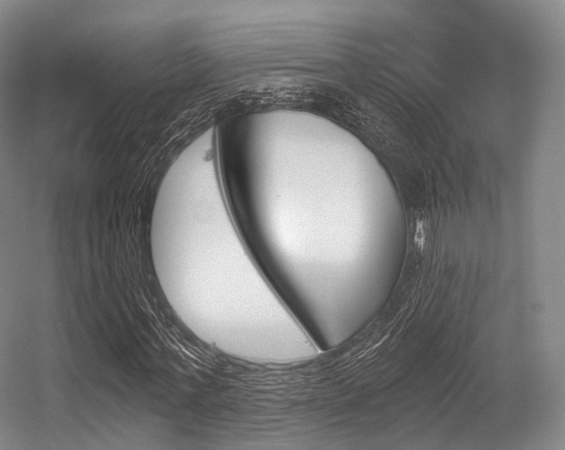 X0000056320771200508260850