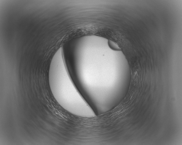 X0000056320772200508260850