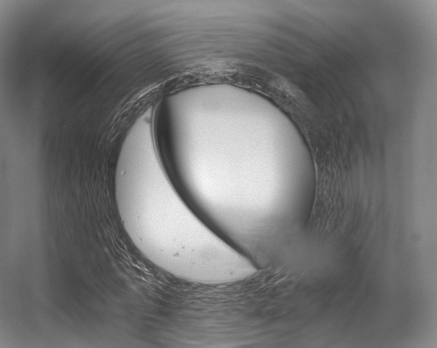 X0000056320773200508260850