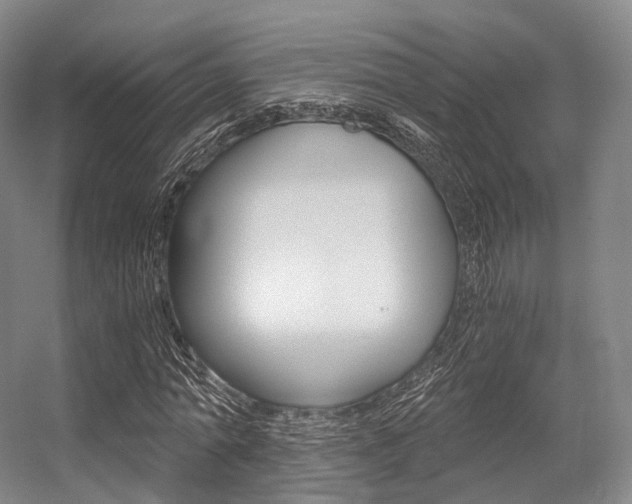 X0000056320774200508260850