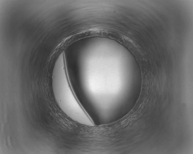 X0000056320776200508260850