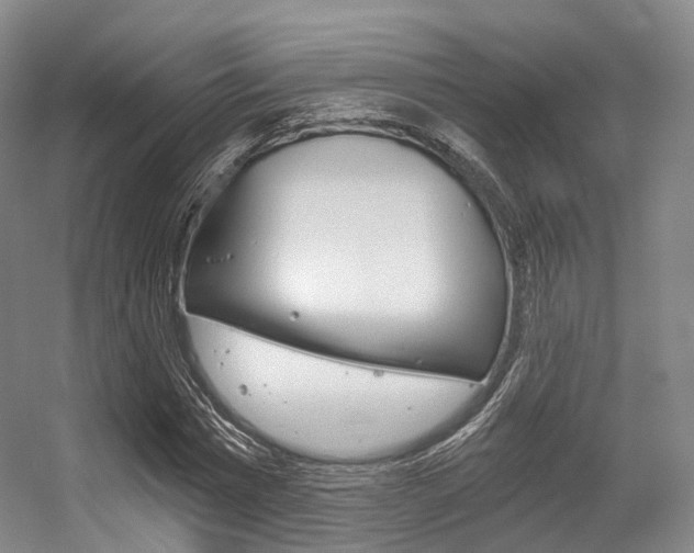 X0000056320777200508260850