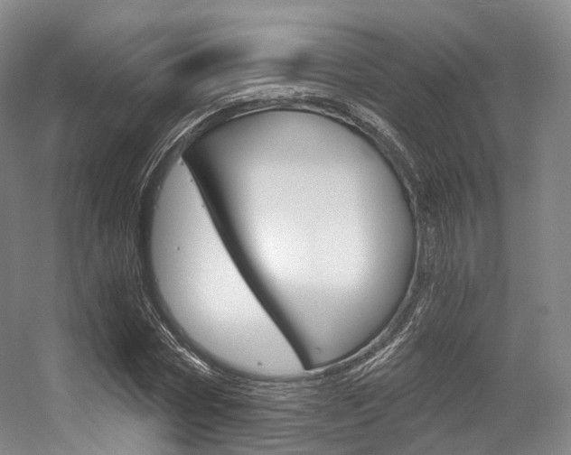 X0000056320778200508260850
