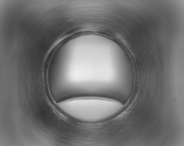 X0000056320779200508260850