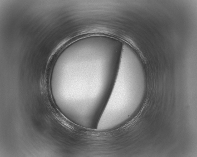 X0000056320780200508260850