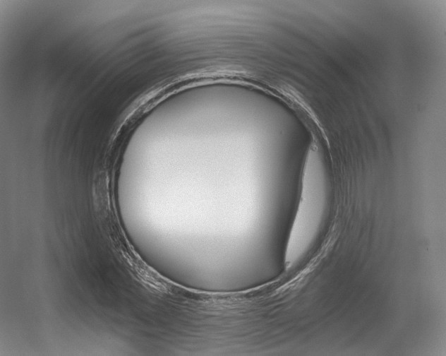 X0000056320781200508260850