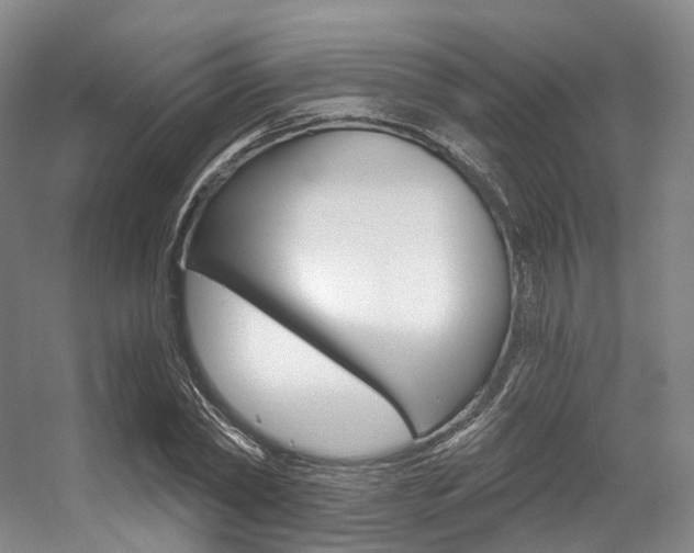 X0000056320782200508260850