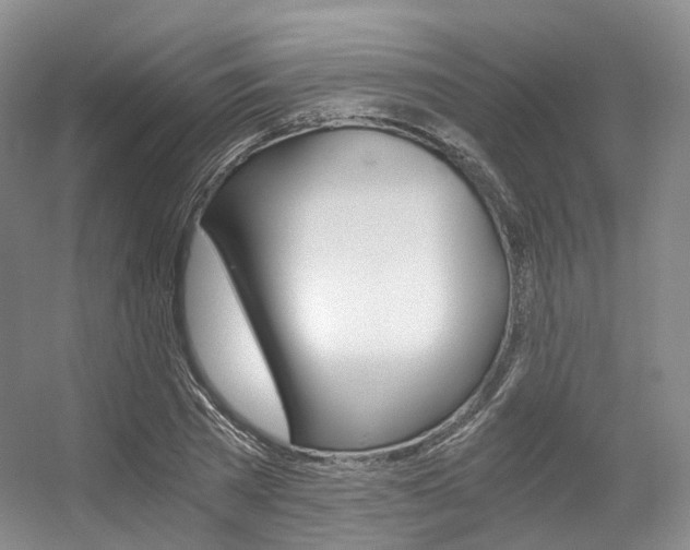 X0000056320785200508260850